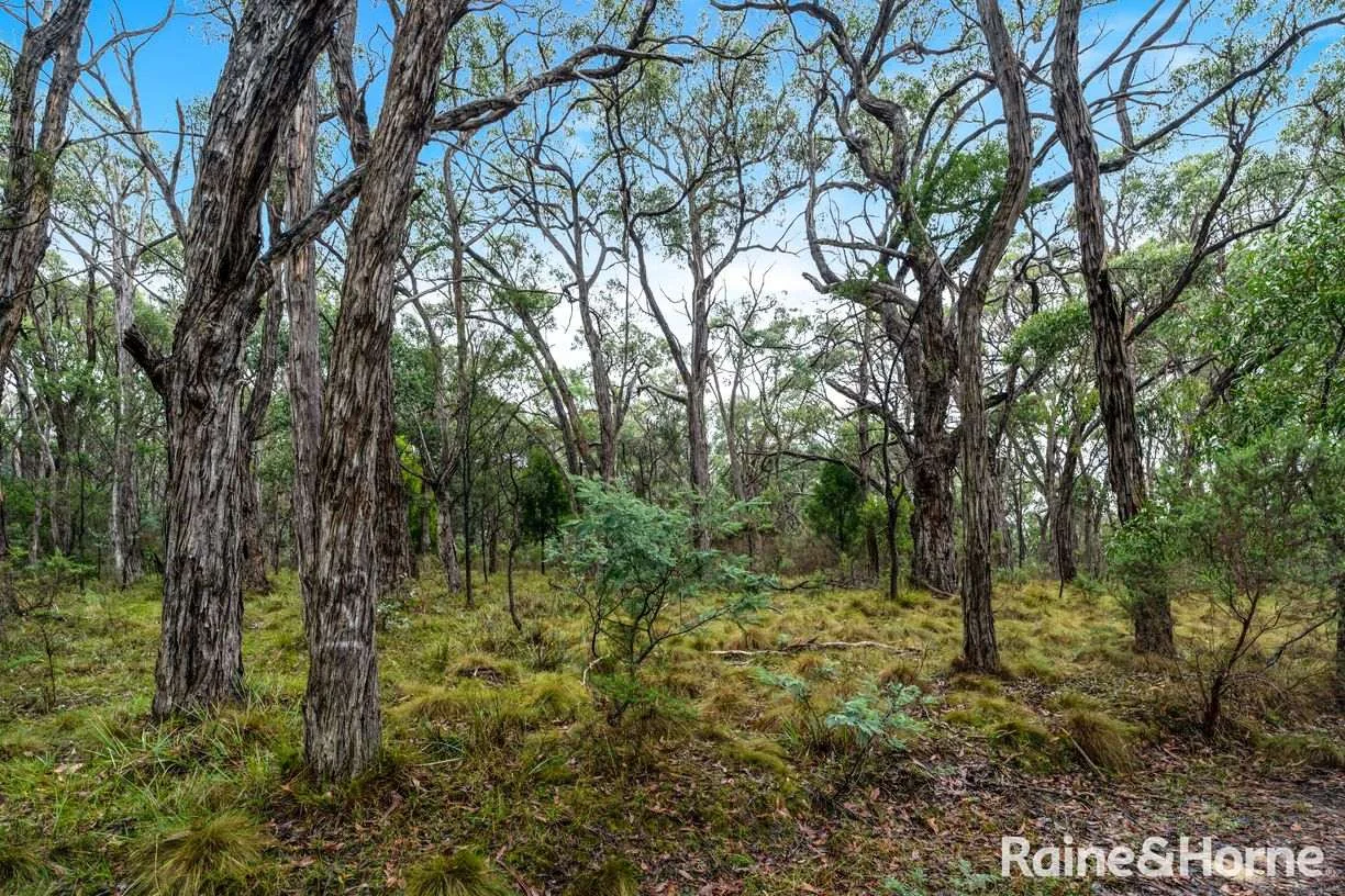 Land for sale at Lot 126 Prince Alfred Street, Riddells Creek