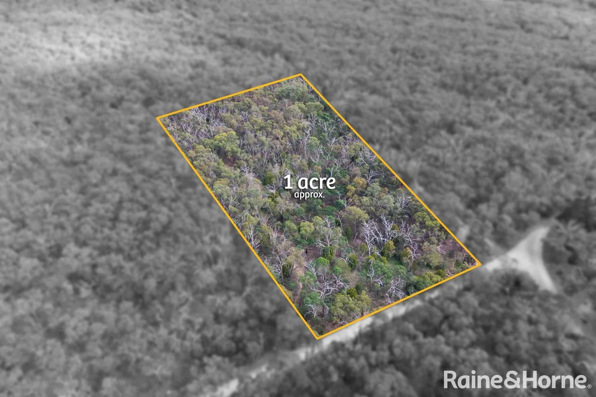 Lot 1 Royal Pde, Riddells Creek, property photograph 2