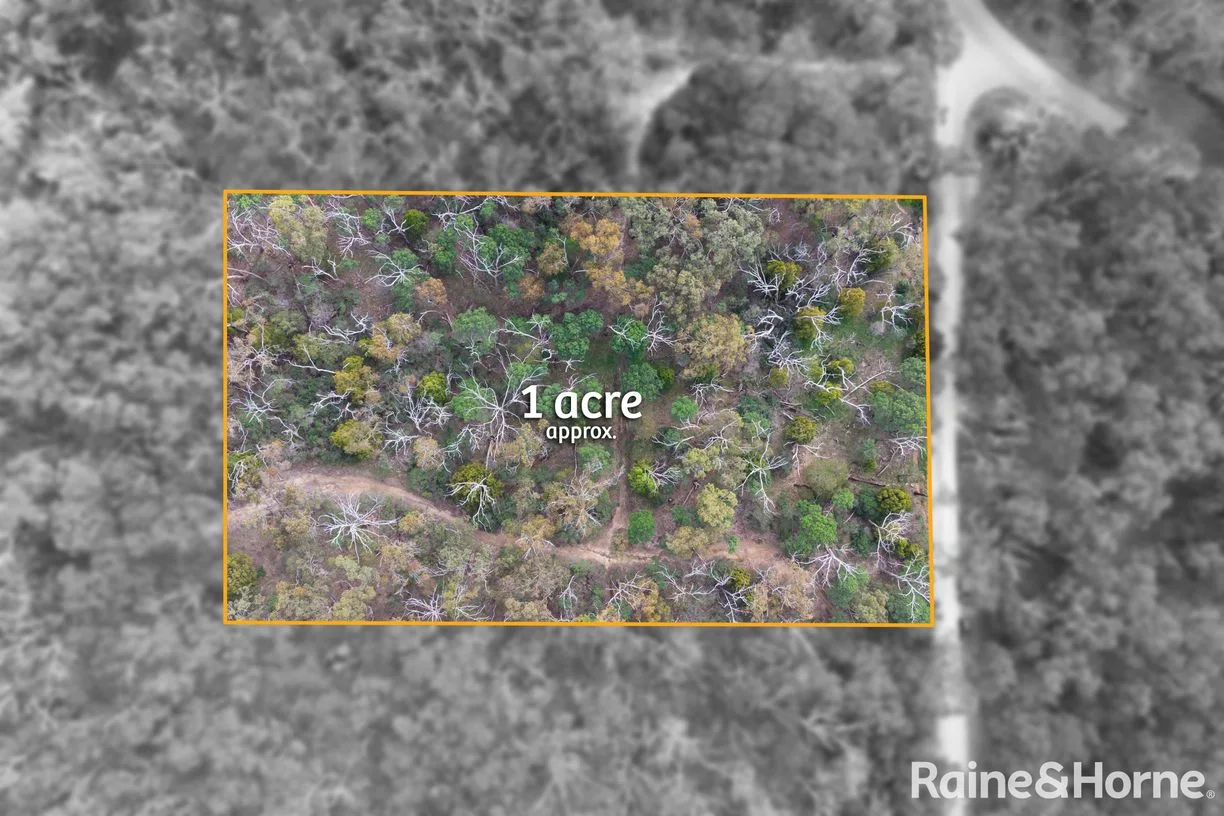 Lot 1 Royal Pde, Riddells Creek, property photograph 3